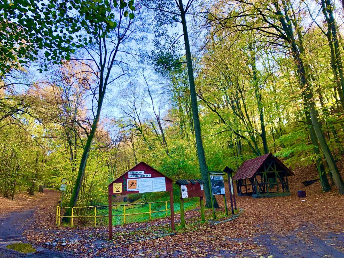 Las Slupski Premium Apartament Nr6 Wifi Netflix Smart Tv50 Two Bedrooms Two Extra Large Double Beds Up To 6 People Full Pleasure Quality Stay (Adults Only) Bagian luar foto